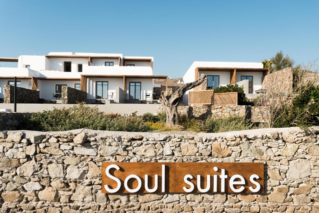 Mykonos Soul Luxury Suites (Adults Only) アギオス・ステファノス エクステリア 写真